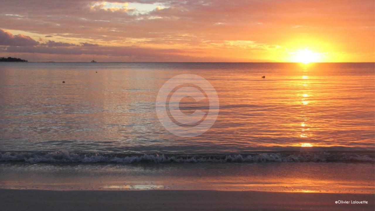 Fantastic Spacious Beachfront Villavacances Grand Baie Exterior foto